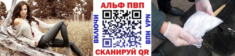 A PVP СК Орехово-Зуево