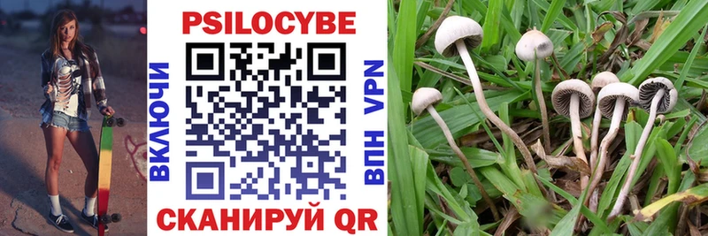 shop состав  Орехово-Зуево  Псилоцибиновые грибы мицелий 